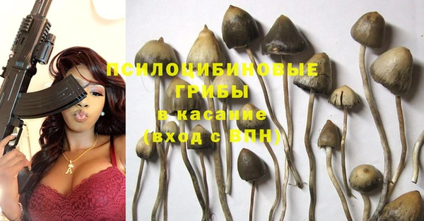 ГАЛЛЮЦИНОГЕННЫЕ ГРИБЫ Балабаново