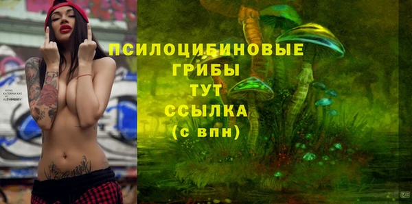 ГАЛЛЮЦИНОГЕННЫЕ ГРИБЫ Балабаново