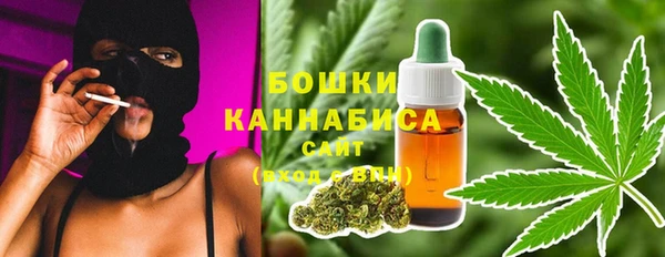 ГАЛЛЮЦИНОГЕННЫЕ ГРИБЫ Балабаново